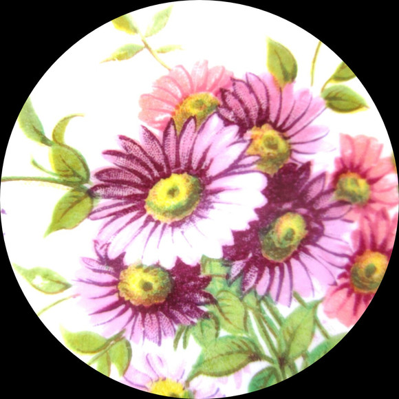 purpledaisymtl